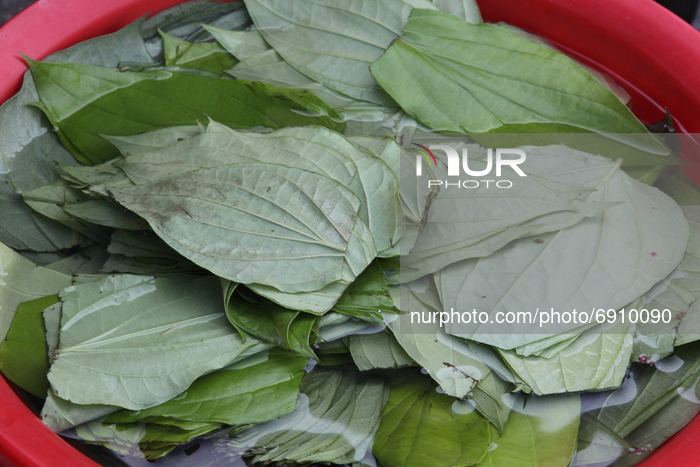 Daily Life In Canada