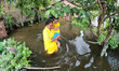 A old age women  with a children go to safe place outside their house as it flooded during...