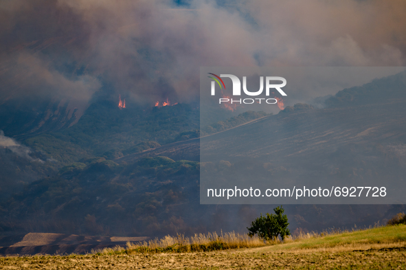 The Difesa Grande forest in flames for several days in Gravina in Puglia on 2 August 2021.
The fire that hit the Difesa Grande forest in Gr...