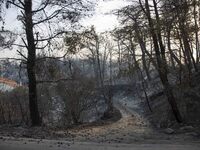 Wildfire in Sipiada, Greece, in Evia island, on August 5, 2021. -At least 150 houses have been destroyed by a raging fire that surrounded a...
