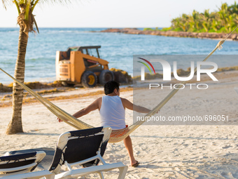 Workers clear Sargassum algae at Punta Xcatik
Beach, in a Hotel Resort near Playa del Carmen, on July 18, 2015. (