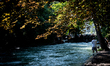 People at the Englischer Garten, on August 15 ,2021 in Munich ,Germany. The Eisbach is an...