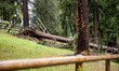 Storm damage with fallen trees in a park on July 26, 2021 in Bergamo, Italy. 