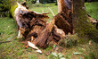 Storm damage with fallen trees in a park on July 26, 2021 in Bergamo, Italy. 