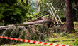 Storm damage with fallen trees in a park on July 26, 2021 in Bergamo, Italy. 