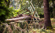 Storm damage with fallen trees in a park on July 26, 2021 in Bergamo, Italy. 