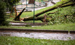 Storm damage with fallen trees in a park on July 26, 2021 in Bergamo, Italy. 
