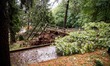 Storm damage with fallen trees in a park on July 26, 2021 in Bergamo, Italy. 