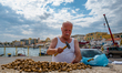 A gentleman breaks the shells and retrieves the almonds collected in the previous days, ne...