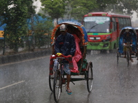 Rickshaw pullers make their way during rainfall in Dhaka, Bangladesh on September 7, 2021.  (