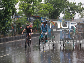 Rickshaw pullers make their way during rainfall in Dhaka, Bangladesh on September 7, 2021.  (