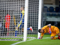 Davide Faraoni (Verona) cel1ebrates after scoring a goal 3-2 during the Italian football Serie A match Hellas Verona FC vs AS Roma on Septem...
