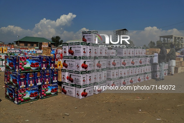 A Trader is seen near the Apple boxes at Fruit mandi in Sopore, District baramulla, Jammu and Kashmir, India on 28 September 2021. Jammu & K...
