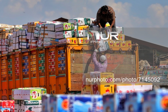 Kashmiri labourers carry boxes of Apples to be loaded onto trucks at a wholesale fruit market in Sopore, District baramulla, Jammu and Kashm...