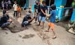 Making a short film entitled ''Rojak'' Directed by CONRAD with Director of Photography TUN...