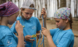Girl scouts learn how to tie knots in Ukrainian scout training camp, Kiev region, Ukraine...
