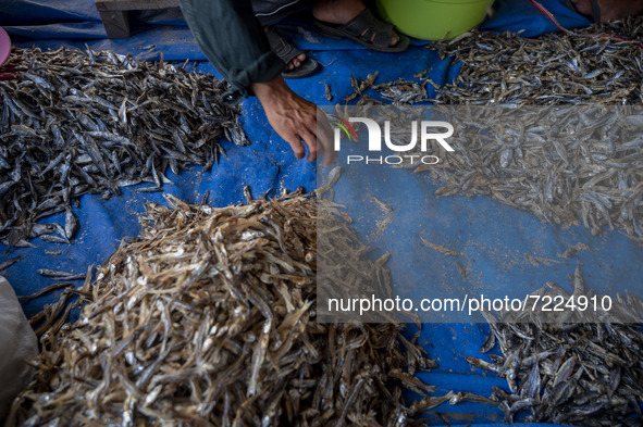 A worker sort dried fish at Mamboro Beach, Palu Bay, Central Sulawesi, Indonesia on October 16, 2021. Indonesia is an archipelagic country w...