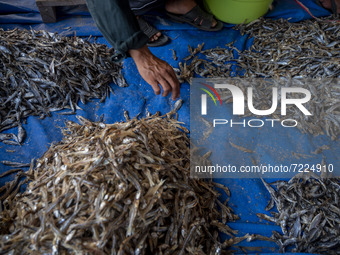 A worker sort dried fish at Mamboro Beach, Palu Bay, Central Sulawesi, Indonesia on October 16, 2021. Indonesia is an archipelagic country w...