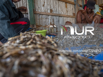 A worker sort dried fish at Mamboro Beach, Palu Bay, Central Sulawesi, Indonesia on October 16, 2021. 
Indonesia is an archipelagic country...