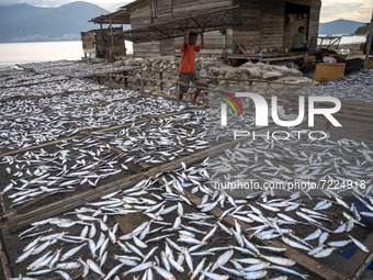 A worker collect dried fish at Mamboro Beach, Palu Bay, Central Sulawesi, Indonesia on October 16, 2021.
Indonesia is an archipelagic count...