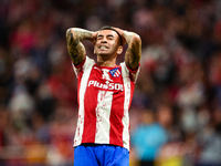 Angel Correa during UEFA Champions League match between Atletico de Madrid and Liverpool FC at Wanda Metropolitano on October 19, 2021 in Ma...