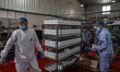 Palestinian workers work at the Hanover factory for the milk and dairy industries and its...