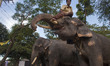 A trainer poses with the circus elephants in Dhaka, Bangladesh. Bangladesh celebrates Worl...