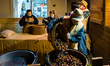 A gentleman pours chestnuts into the pot of caldarroste during the Bacchus per Bacchus fes...