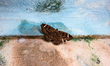 A female White-barred Owl Moth is sitting on the wall at Tehatta, West Bengal; India on 16...
