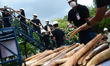 Officials carry the illegal ivory to the crushing machine during a campaign to destroy ove...