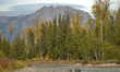 A fisherman on the Ełk River near Fernie.On Saturday, 02 October 2021, in Fernie, British...