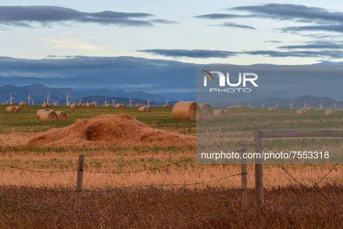 Daily Life In Southern Alberta During The Covid-19 Pandemic