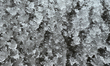 Close-up of a pattern in the ice as a mix of light snow and freezing rain hit Toronto, Ont...