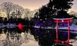 The Brooklyn Botanical Garden Lightscape Show on January 8, 2022 in New York City. 