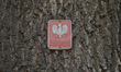 Natural Monument logo seen on one of the tree in Krakow's Old Town. According to data from...