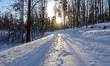 Snow covered forest road and tress are seen in Karwienskie Blota, Poland on the Baltic Sea...