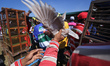Residents takes part of the Pigeons Sprint Racing in rice fields area in Bantul, Yogyakart...