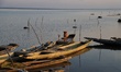A Dog is seen in a wooden boat anchored at the shore of Wular Lake in Sopore, District Bar...
