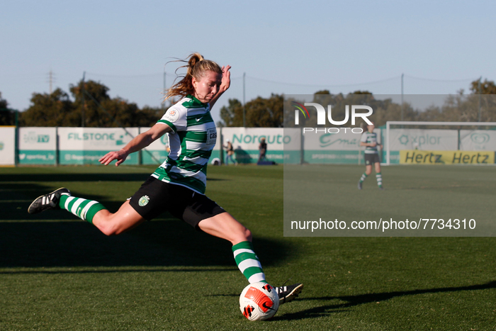 Sporting CP V SL Benfica - Liga BPI