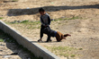 Palestinian children play in front of their house in the Bedouin village of Um Al-Nasr in...