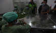Palu Mayor Hadianto Rasyid (right) looks at the processing of Moringa plants at PT Kelor O...