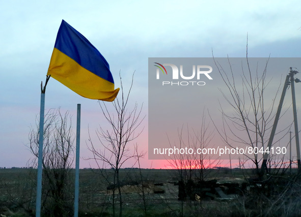 KYIV REGION, UKRAINE - APRIL 07, 2022 - Ukrainian national flag flutters in the wind in one of the liberated settlements of the Kyiv Region,... by Yuliia Ovsyannikova/Ukrinform/NurPhoto