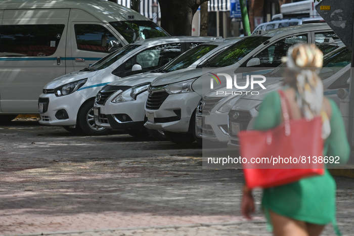 Daily Life In Playa Del Carmen