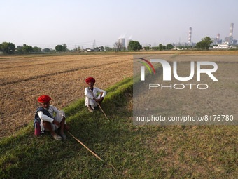 Shepherds rest in the field near a coal-fired thermal Power Plant of National Thermal Power Corporation (NTPC), at Dadri in Gautam Budh Naga...