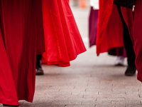 Demonstrators dressed as handmaids from The Handmaid's Tale, walk to the Capitol.  The Handmaids Army DC protested the Supreme Court's leake...