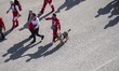 Members of the Iranian Red Crescent Society and a search and rescue dog perform in a cerem...