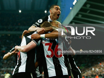 Callum Wilson of Newcastle United celebrates with teammates after scoring their sides first goal during the Premier League match between New...