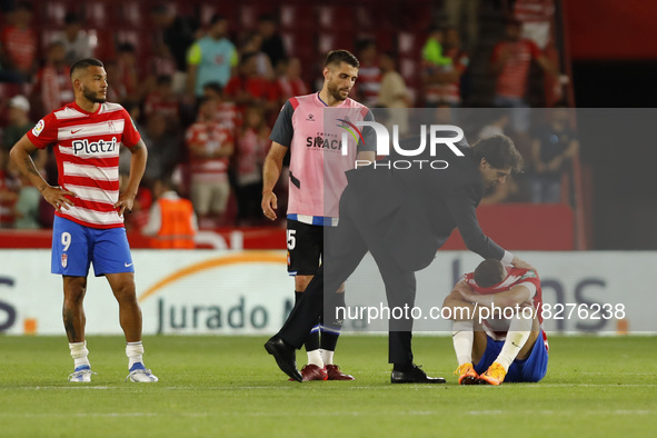 Aitor Karanka, of Granada CF, reacts after Granada descends to second division during the La Liga match between Granada CF and RCD Espanyol...