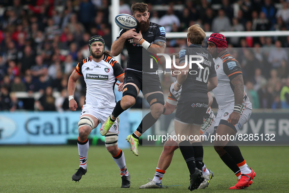Newcastle Falcon's Gary Graham jumps for a high ball  during the Gallagher Premiership match between Newcastle Falcons and Leicester Tigers...