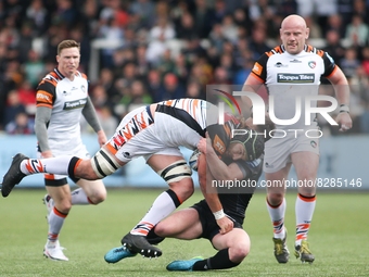 Leicester Tiger's Harry Wells is tackled by Newcastle Falcon's Michael Young   during the Gallagher Premiership match between Newcastle Falc...